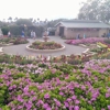 The Flower Fields at Carlsbad Ranch gallery