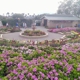 The Flower Fields at Carlsbad Ranch