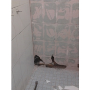 Gallery Image Number 7