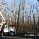 Blue Ridge Tree Services - Arborists
