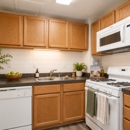 Willow Run at Mark Center Apartment Homes - Apartments