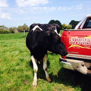Heytesbury Stockfeeds Pty Ltd - Simpson, VIC