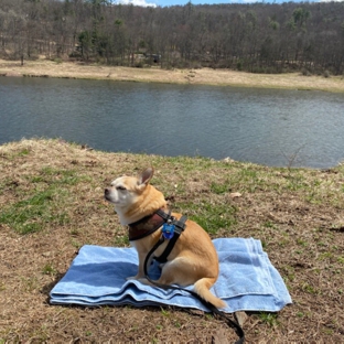 Upper Delaware Scenic & Recreational River - Beach Lake, PA