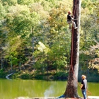 ArborTECH Tree Removal & Preservation