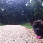 Brackenridge Park