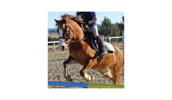 Gooromon Park Riding Centre - Wallaroo, NSW