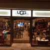 Ugg gallery