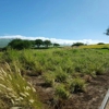 Hapuna Golf Course gallery