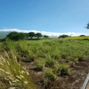 Hapuna Golf Course - Golf Courses