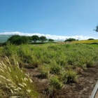 Hapuna Golf Course