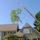 Phoenixville Tree Service - Tree Service