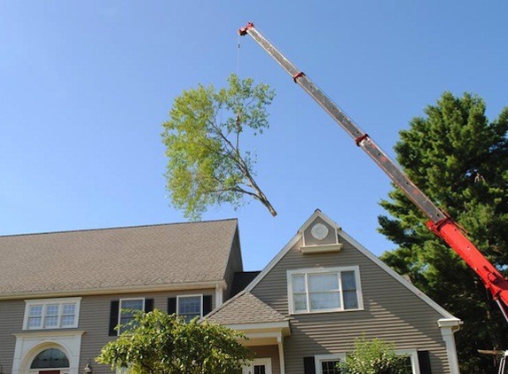 Phoenixville Tree Service - Collegeville, PA