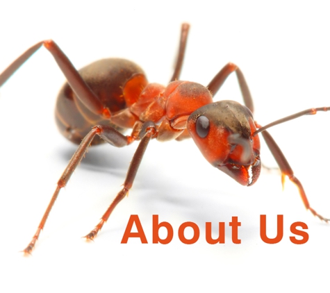 Brunswick Byron Pest Control - Mullumbimby, NSW. About Us