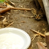 North Shore Wildlife gallery