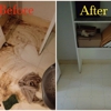 Divine House Cleaning, Commercial & Office Cleaning Service gallery