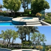 Escalante Tree Service gallery