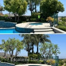 Escalante Tree Service - Tree Service
