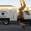 Ken's Tree Company,Inc. - Tree Service