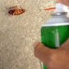 Oasis Pest Control gallery