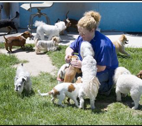 Little Dogs Resort - Salt Lake City, UT