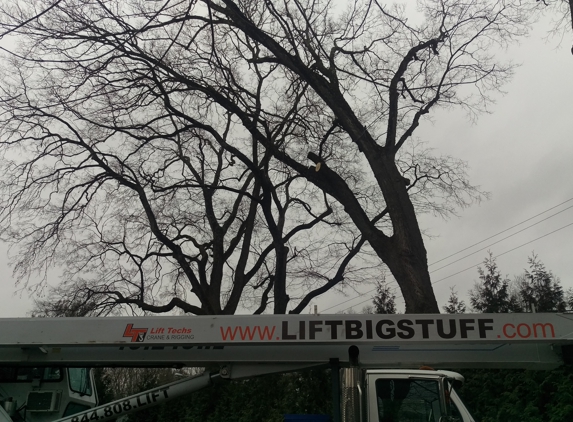 Elite Tree Climbers LLC - Bethlehem, PA