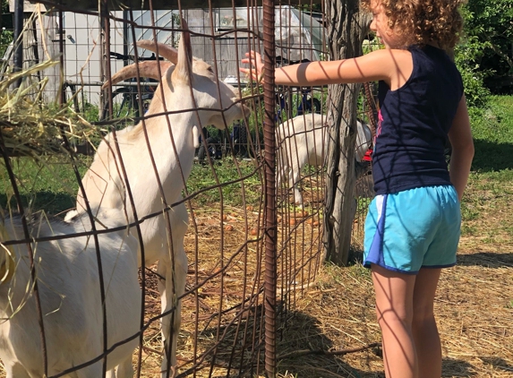 Natick Community Organic Farm - Natick, MA