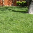 Herndon Lawn Service - Amarillo Texas - Landscaping & Lawn Services
