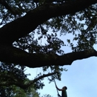 K&R Tree Services