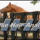 DePaolo Equine Concepts - Horse Dealers