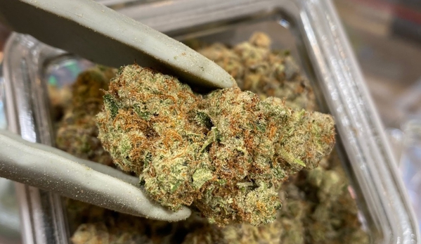 Star Buds - Westminster, CO