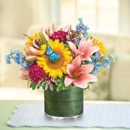Britt's Florist - Flowers, Plants & Trees-Silk, Dried, Etc.-Retail