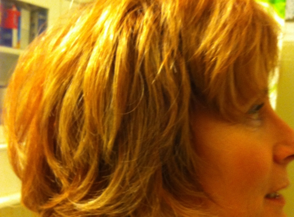Terry Rae Beauty Salon - Las Vegas, NV. Another color great result