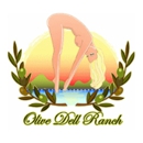 Olive Dell Ranch RV Park - Resorts