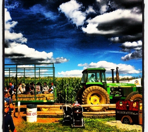 Stony Hill Farm Market - Chester, NJ