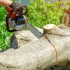 Friendly Tree Experts gallery