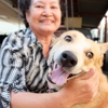 Revive Veterinary Emergency and Specialty Hospital gallery