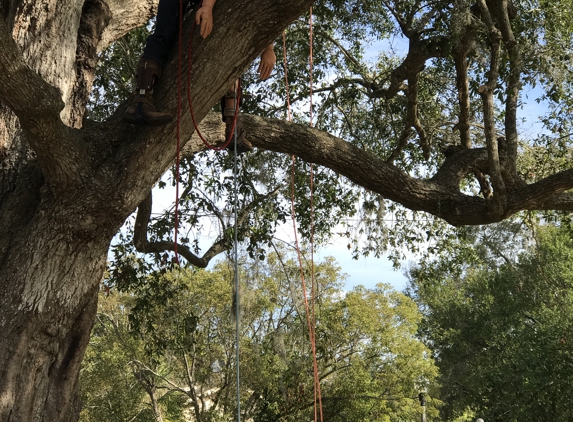 KDT Tree Service - Fern Park, FL