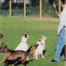 Badger Creek Kennels - Pet Sitting & Exercising Services