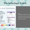 Bathologie by shaylee gallery