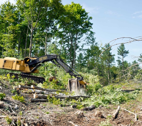 Woodstock Tree and Stump Removal - Coldstream, VIC