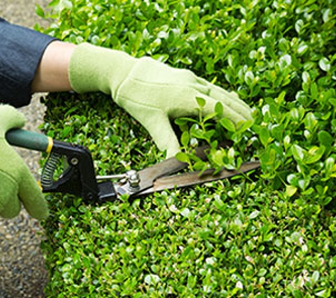 Early Bird Garden Care - Wangaratta, VIC