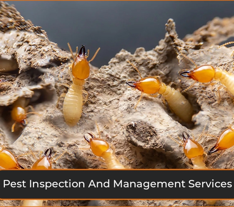 HiJ Building and Pest Inspection - West Hoxton, NSW. Pest Inspection And Management Services