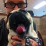 Orchard Park Veterinary Medical Center