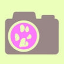 Mew-Mew House - Animal Shelters