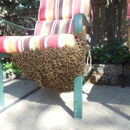 Ural Mountain Beehive - Bee Control & Removal Service