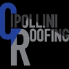 Cipollini Roofing gallery