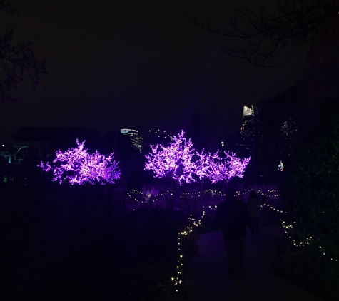 Atlanta Botanical Garden - Atlanta, GA. Purple