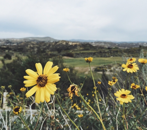 Robinson Ranch Valley Course - Canyon Country, CA