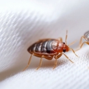 Metterville Pest Management - Pest Control Equipment & Supplies