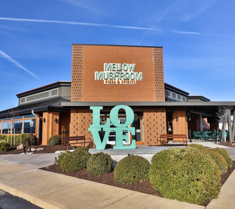 Mellow Mushroom Chesterfield - Chesterfield, MO